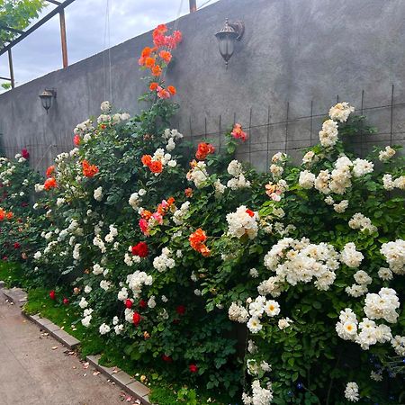 Hillside Guest House เยเรวาน ภายนอก รูปภาพ
