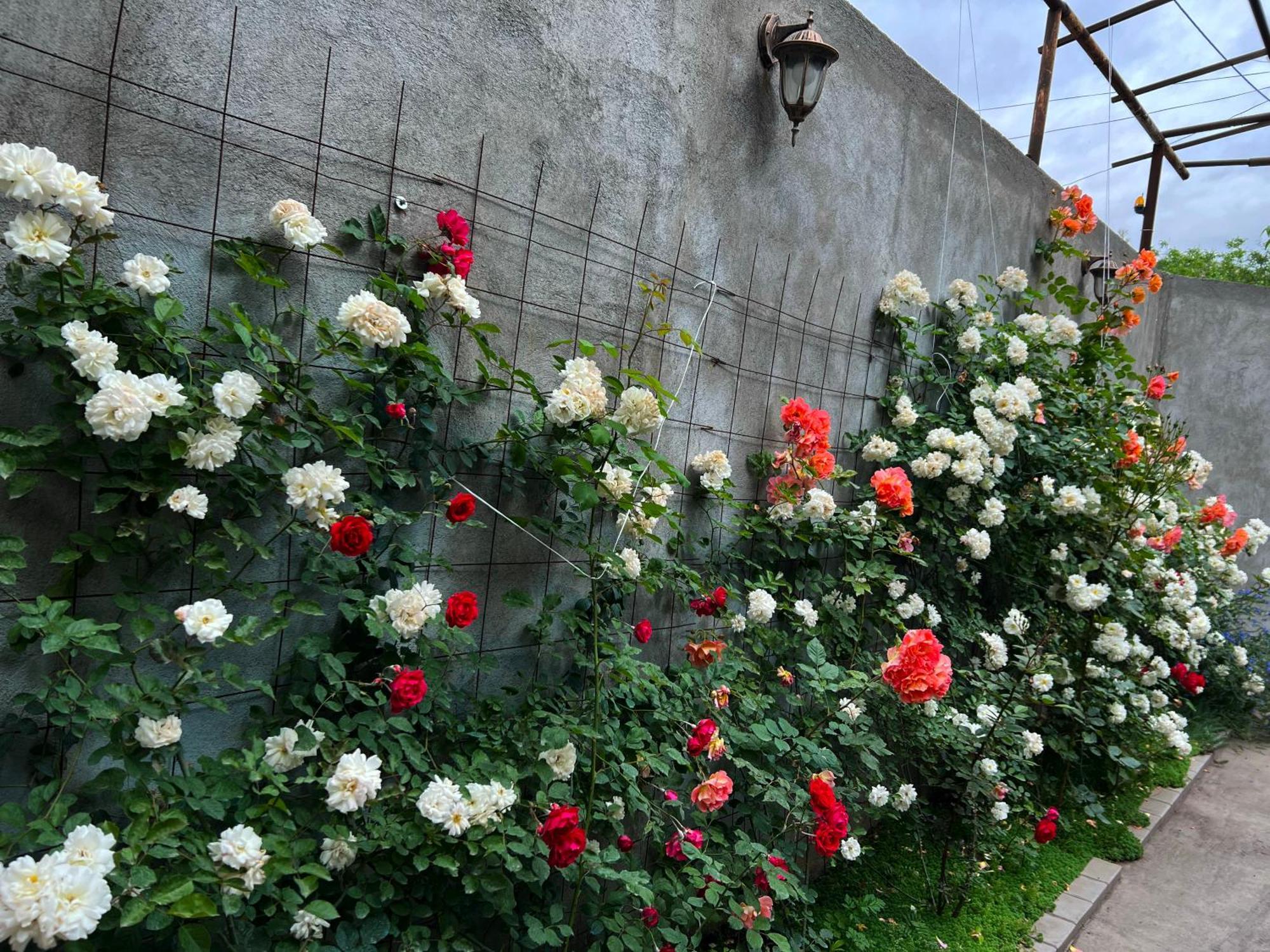 Hillside Guest House เยเรวาน ภายนอก รูปภาพ
