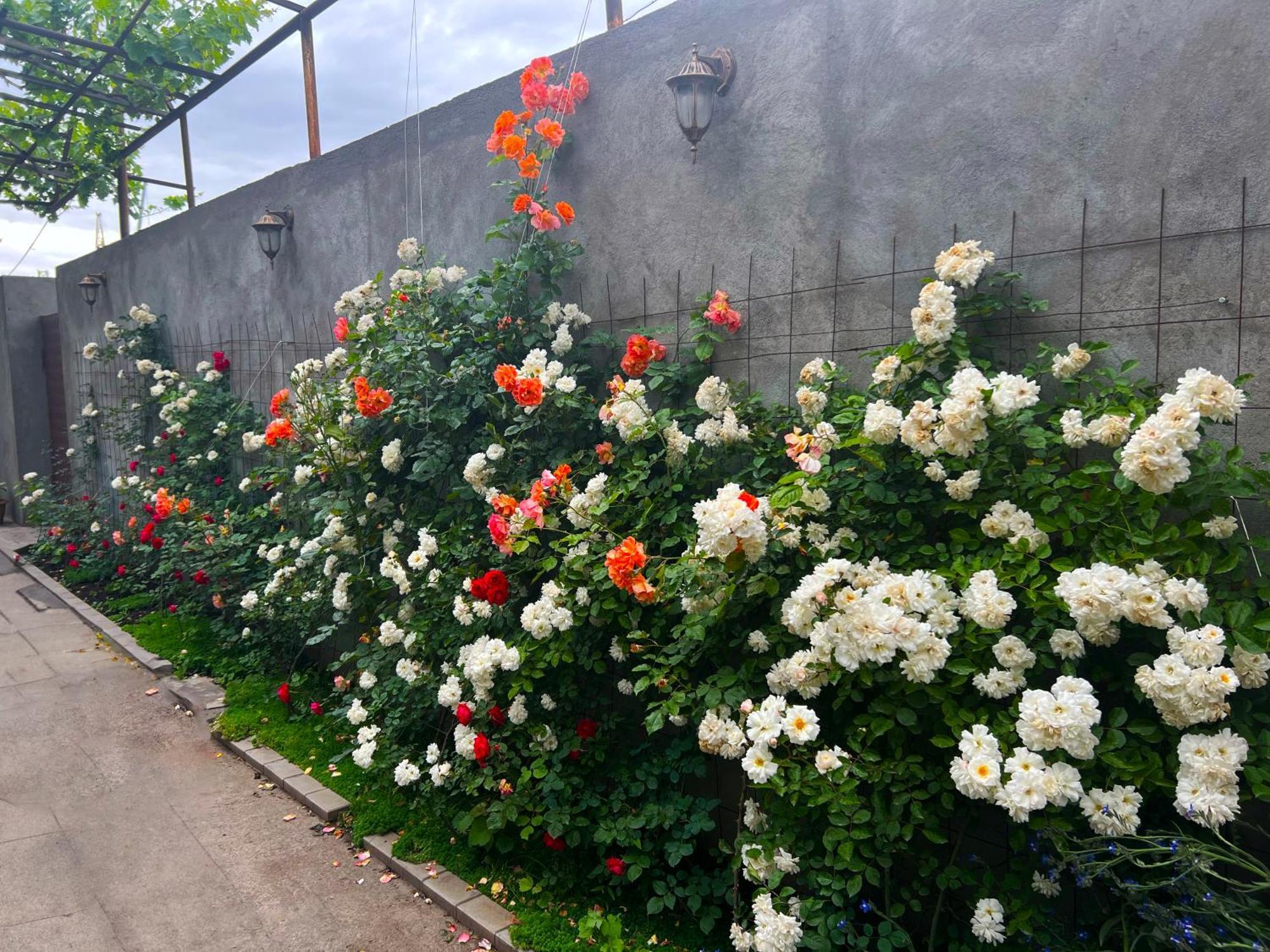 Hillside Guest House เยเรวาน ภายนอก รูปภาพ